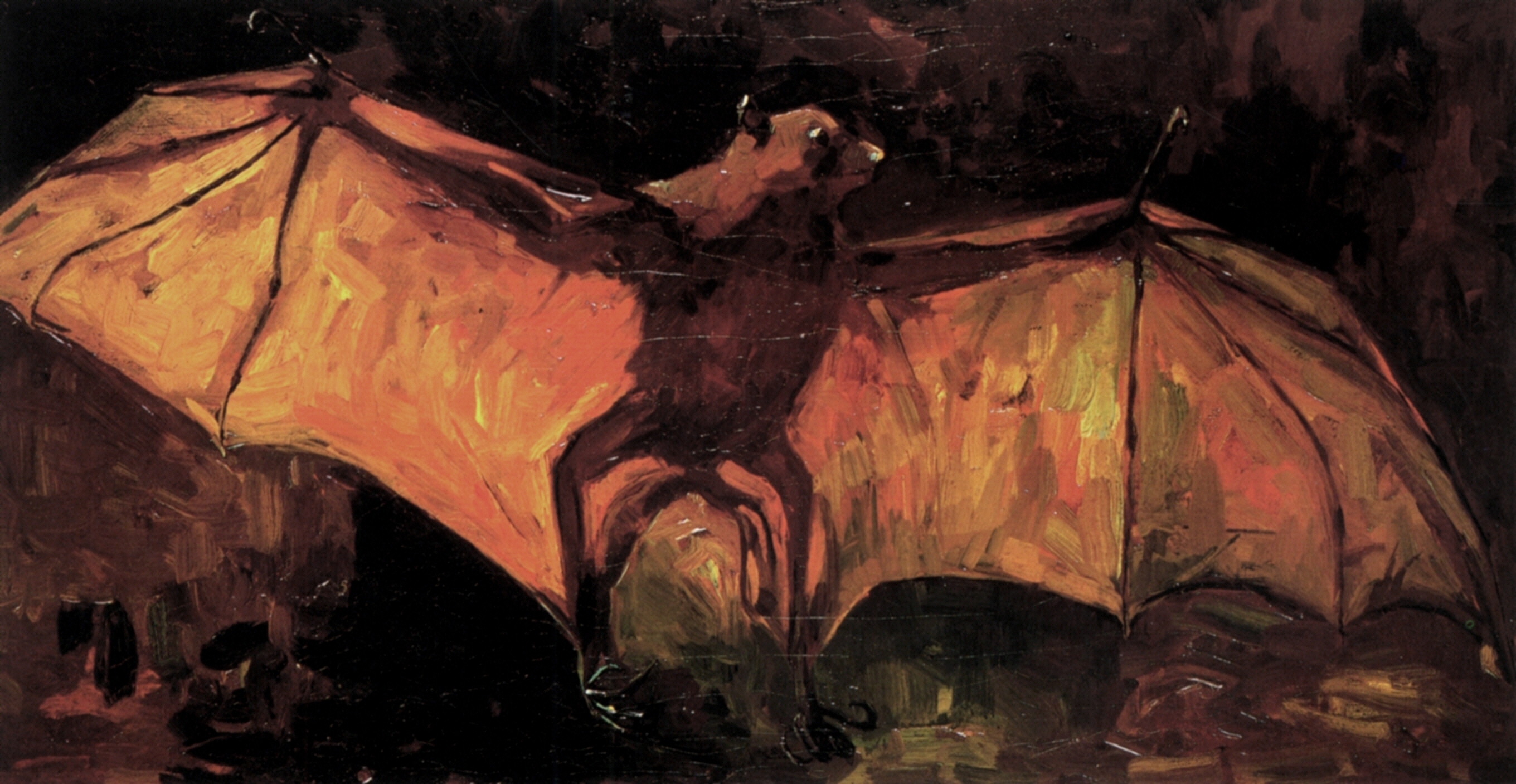 Картина Ван Гога Летучая собака. Птеропус 1885